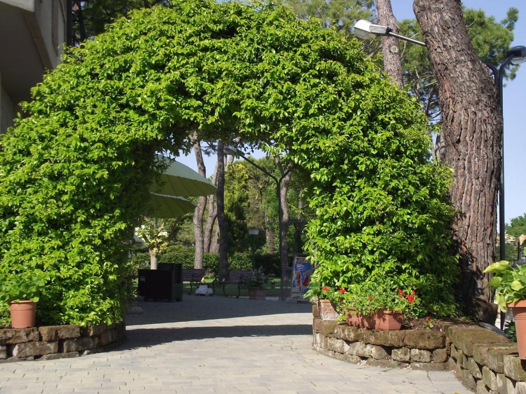Hotel Ausonia Monte Porzio Kültér fotó